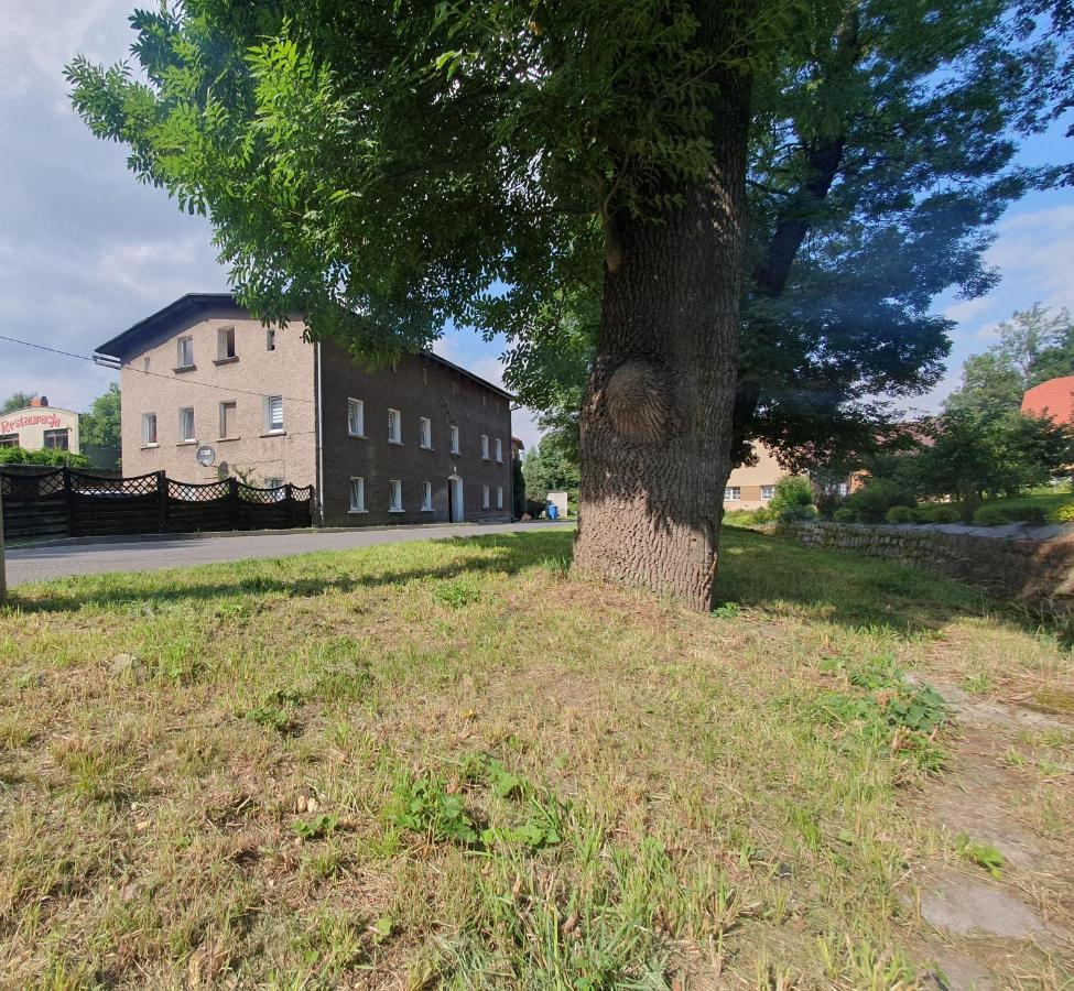Apartament Chełmsko Śląskie Kültér fotó